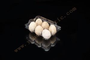 6 count plastic egg containers GLD-00C6 /plastic egg storage