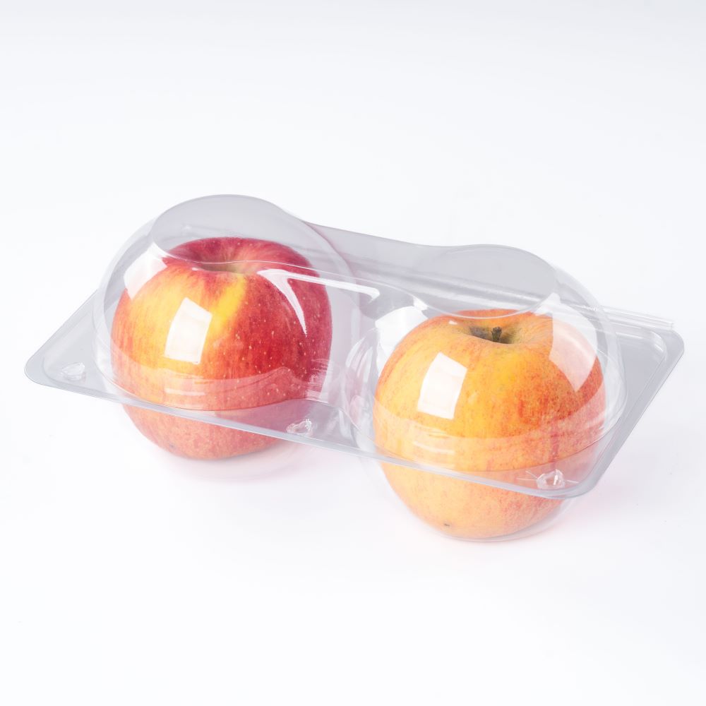 » GLD-2DG 2 packaging apple containers food grade material fruit packaging wholesale Featured Image