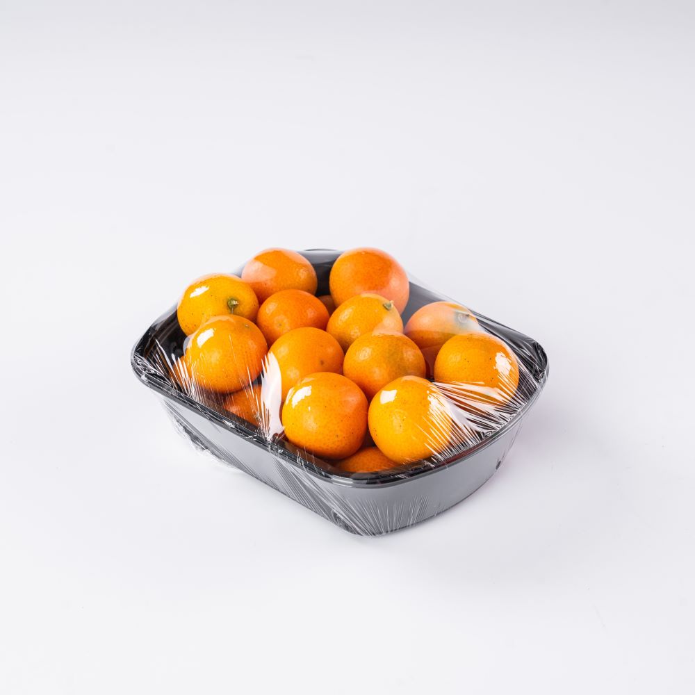 » Wholesale of disposable plastic packaging for fruit trays and vegetable containers Featured Image